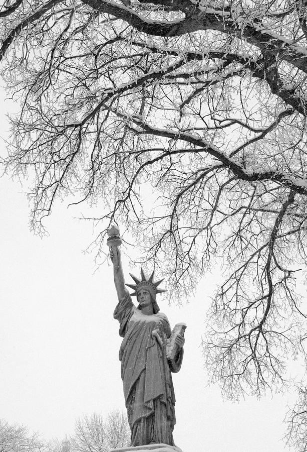 Give Me Liberty Photograph by Jamieson Brown