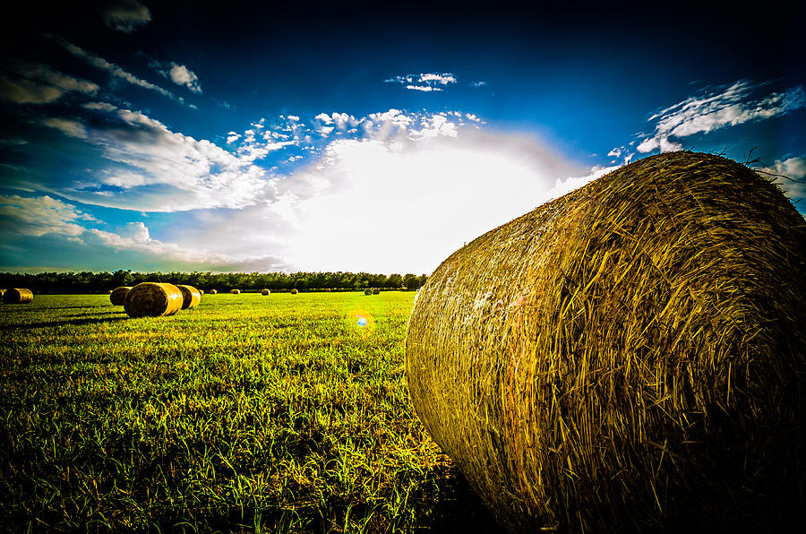 Give me More Hay Bale Photograph by David Morefield