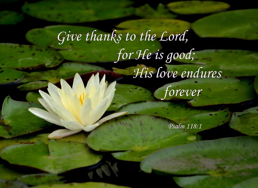 Give Thanks  Photograph by Deena Stoddard