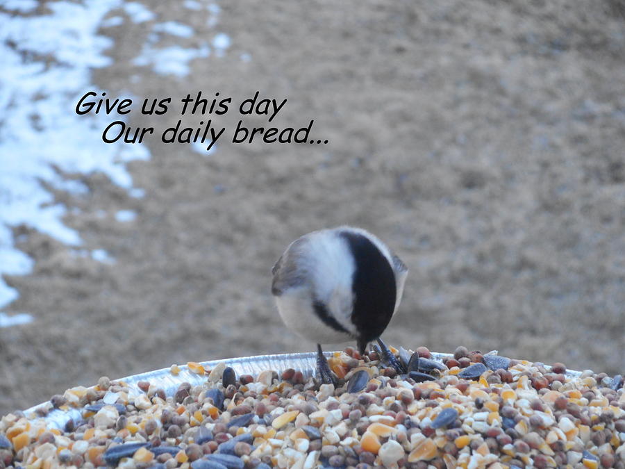 Give Us This Day Our Daily Bread Photograph by Diannah Lynch