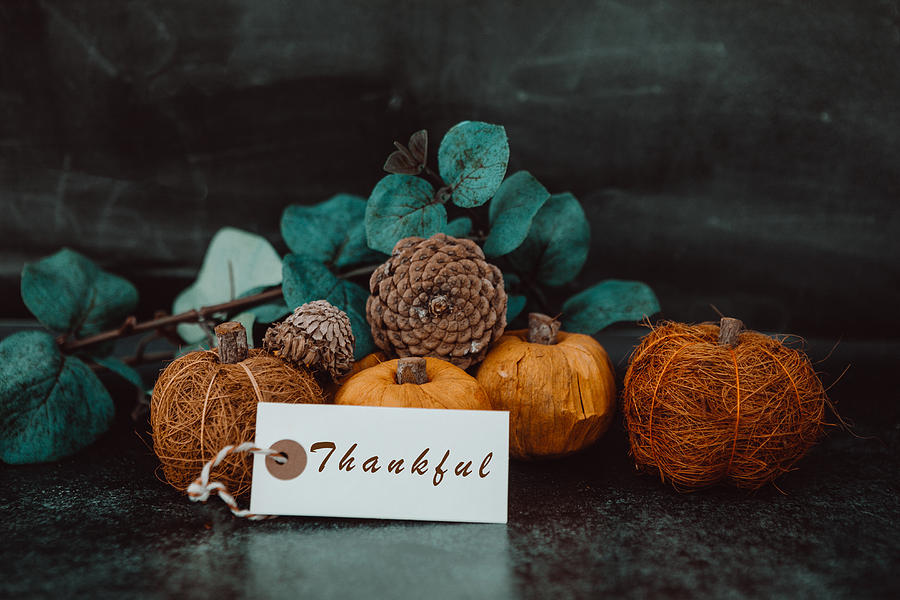 Giving thanks with pumpkin assortment still life and thankful message Photograph by Carol Yepes