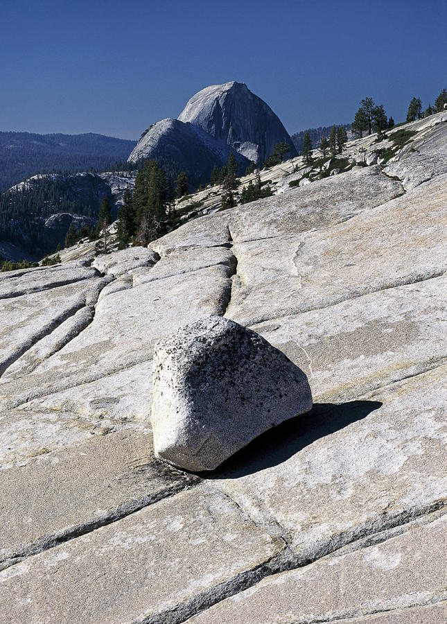 Glacial Erratic & Half Dome Photograph by Theodore Clutter