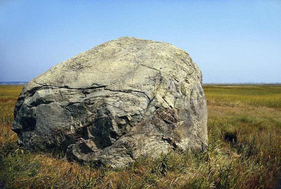 Glacial Erratic, Cape Cod Photograph by George Whiteley