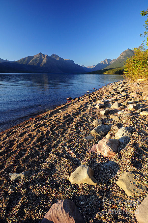 Glacier - Lake McDonald Photograph by Cindy Murphy - NightVisions 