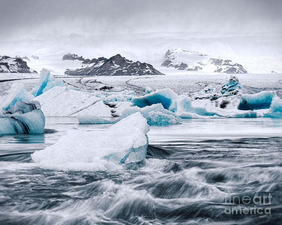 Glacier and Mini-bergs Photograph by Royce Howland