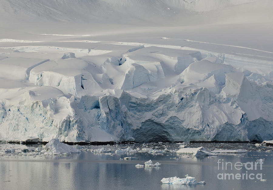 Glacier, Antarctica Photograph by John Shaw