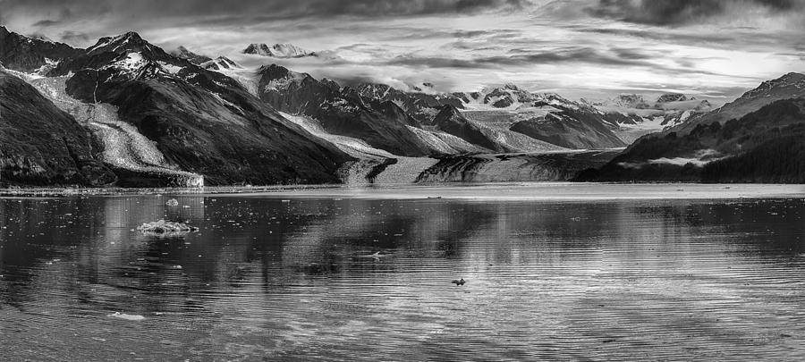 Glacier Bay Alaska Panorama  Photograph by Gary Warnimont