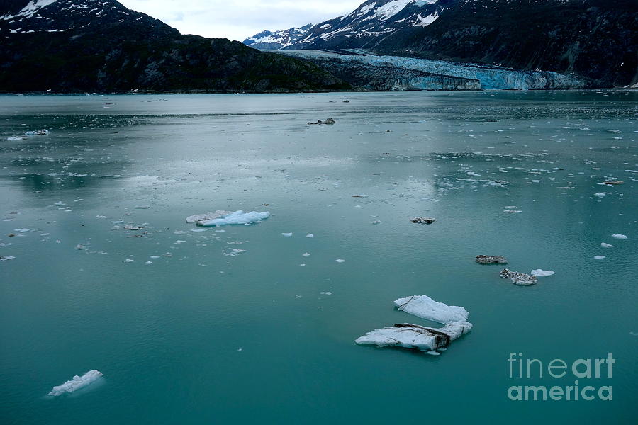 Glacier Bay Photograph by Jacqueline Athmann