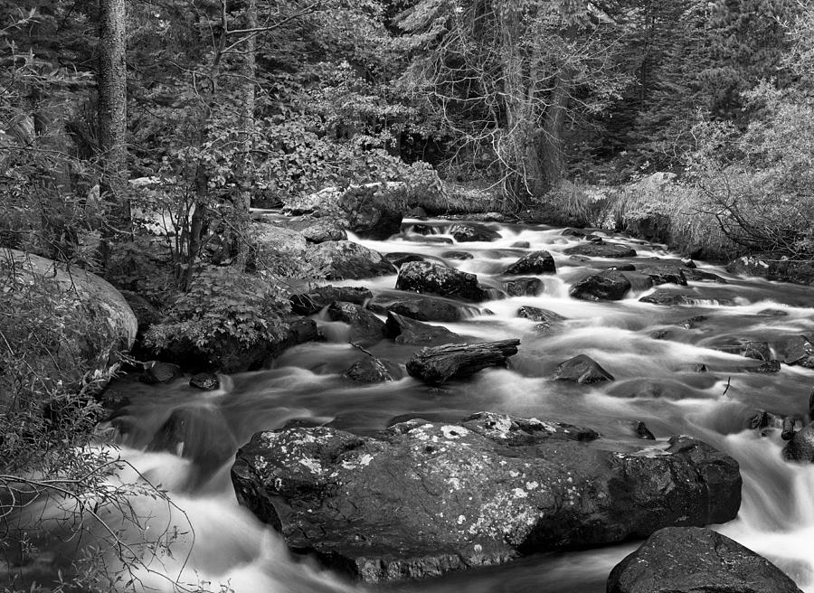 Glacier Creek Black and White Rocky Mountain National Park Photograph ...