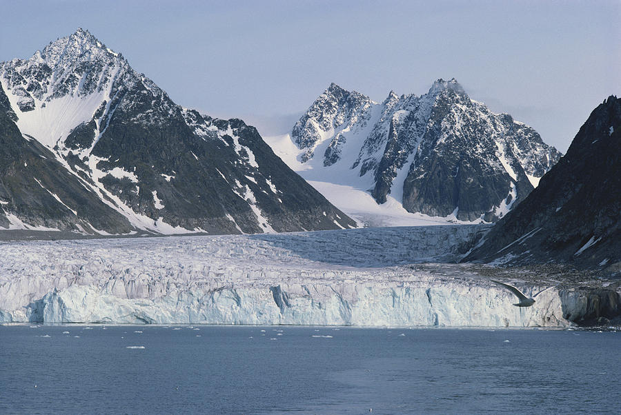 Glacier In Spitsbergen Photograph by George Holton