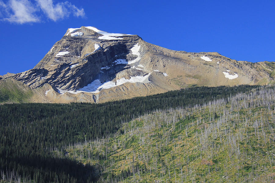 Glacier National Pk MT Photograph by Kathleen Scanlan