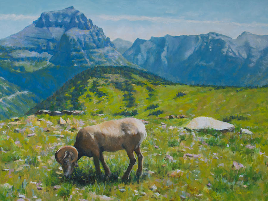 Glacier NP Bighorn Painting by Kerima Swain