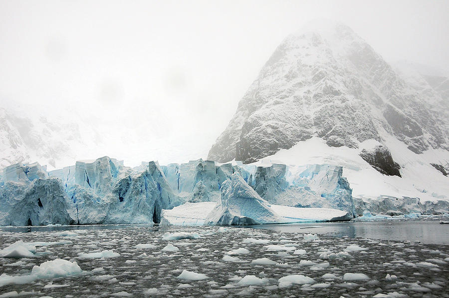 Glaciers And Ice In Paradise Bay Photograph by Bill Raften