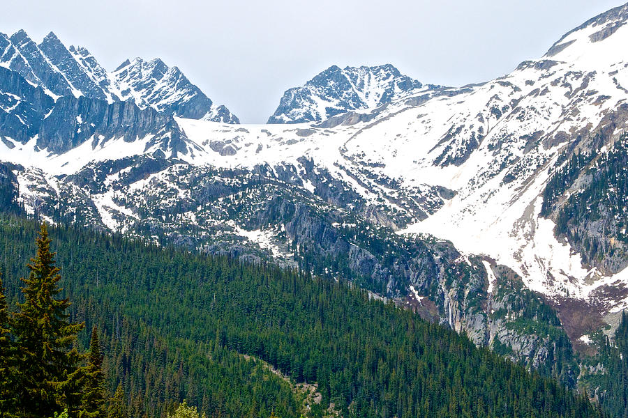 Glaciers of Columbia Mountains from Rogers Pass in Glacier National Park, British Columbia, Canada Photograph by Ruth Hager