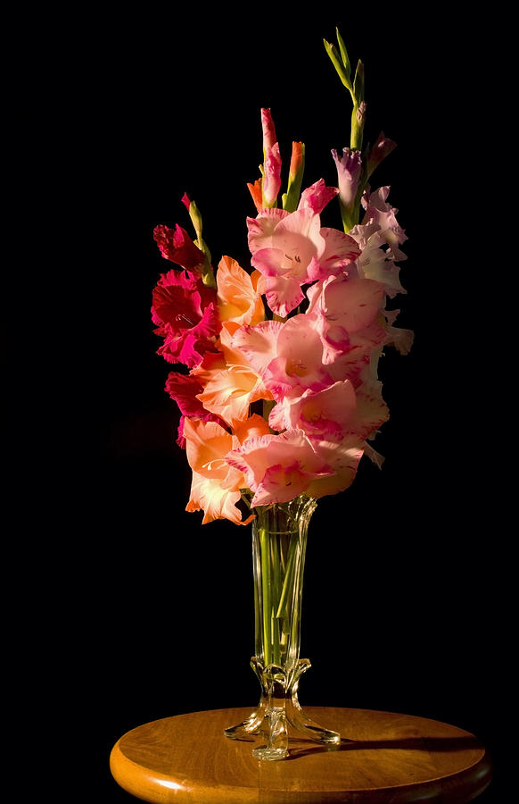 Gladiolus Flower Bouqet Photograph by Keith Webber Jr