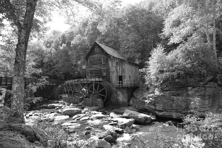 Gladys Creek Mill Photograph by Dwight Cook