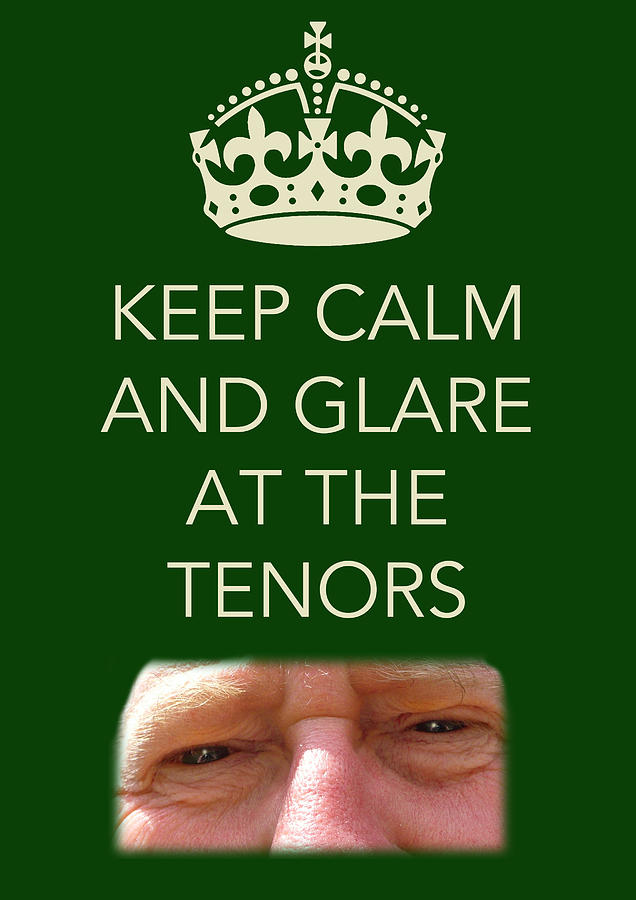 Glare at the tenors Photograph by Jenny Setchell