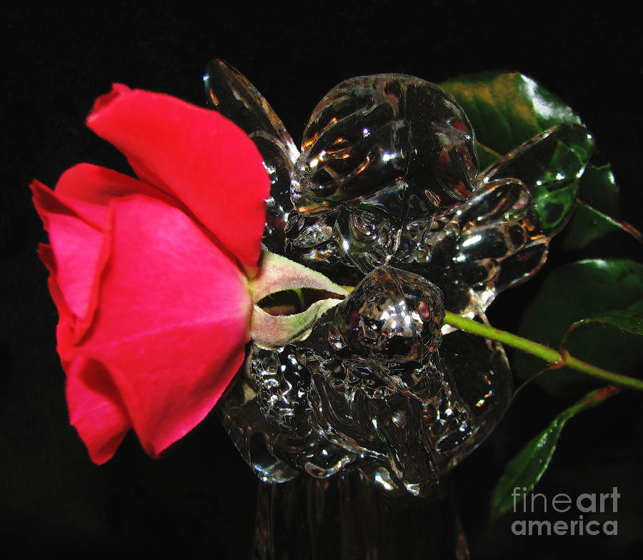 Glass Angel holding a Red Rosebud in Oil Painting Effect Photograph by Rose Santuci-Sofranko