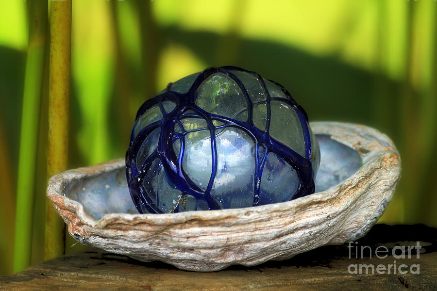 Glass Ball in a Sea Shell Photograph by Teresa Zieba