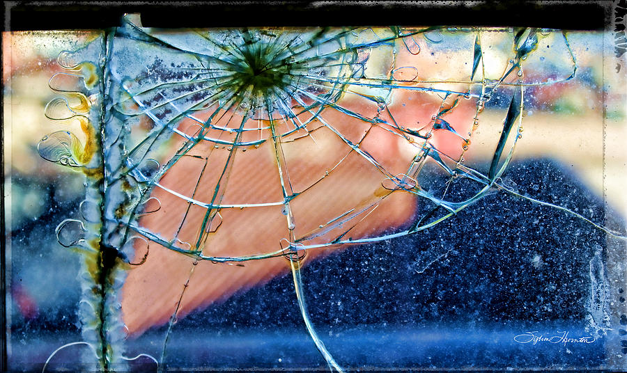 Window Photograph - Glass Bubble by Sylvia Thornton