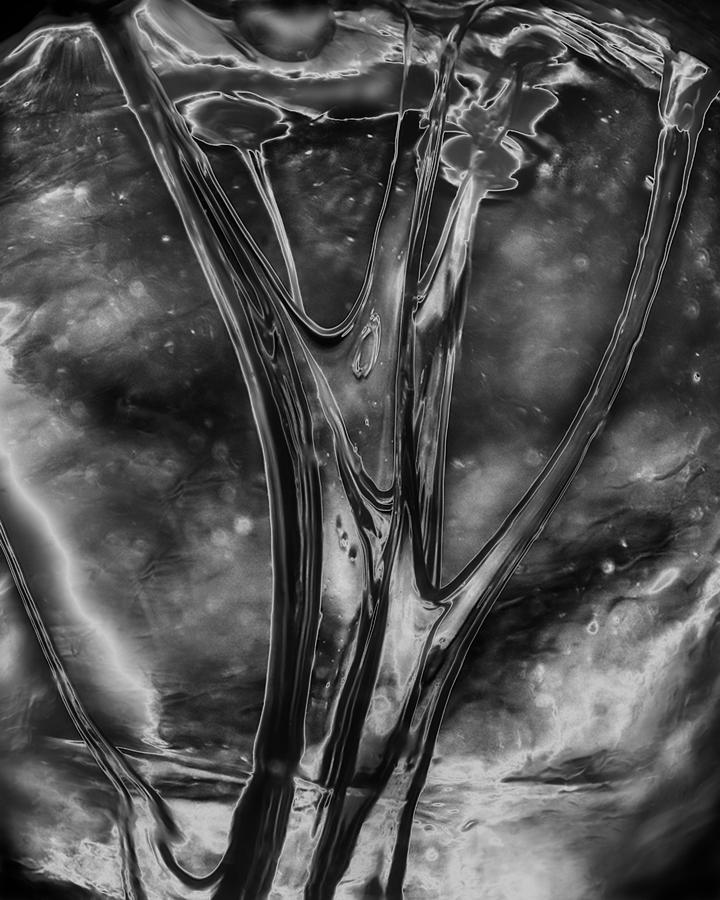 Abstract Photograph - Glass Ceiling by Guy Shultz