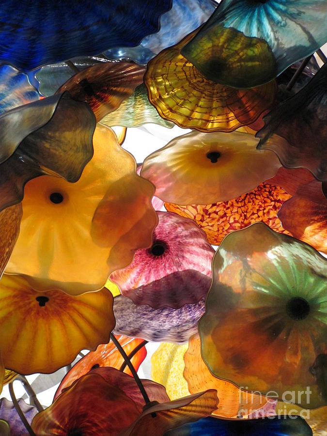 Glass Flowers Photograph by Anita Adams