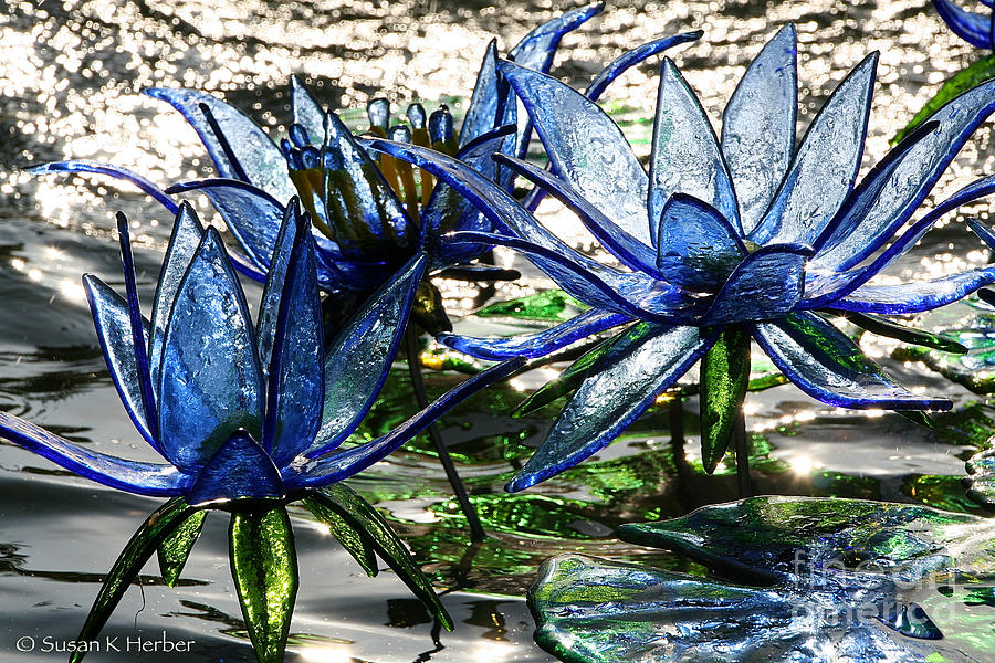 Glass Lilies Photograph by Susan Herber