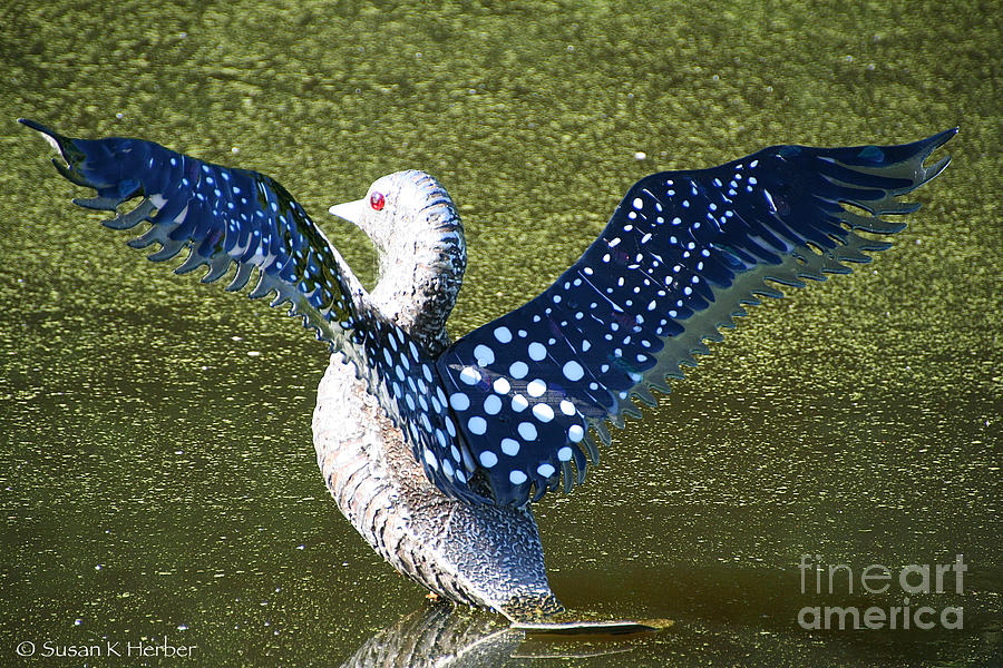 Glass Loon Photograph by Susan Herber