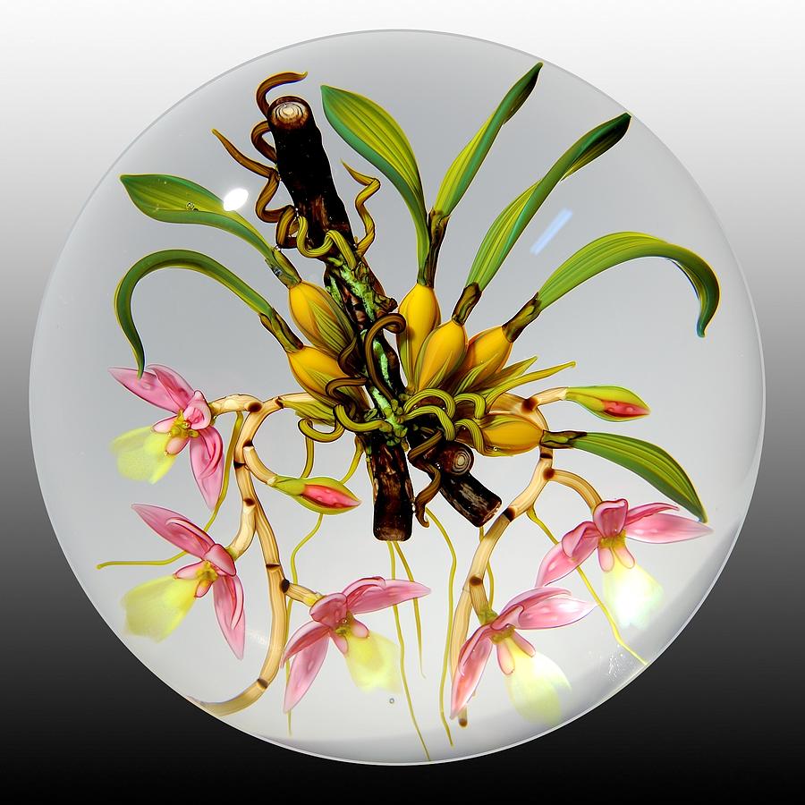Glass Paperweights Glass Art - Glass Orchids Bulbs and Branches by Chris Buzzini