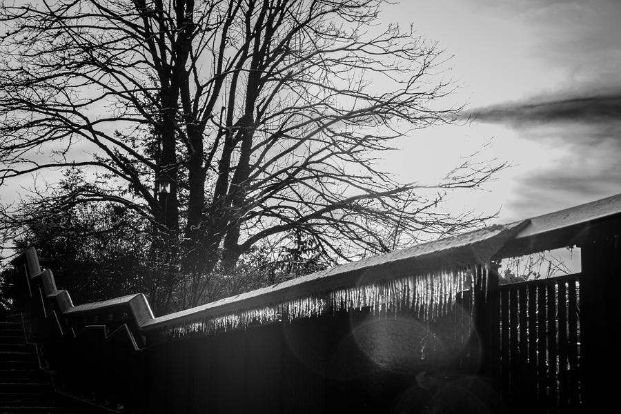 Snoqualmie Photograph - Glass by Ryan McGinnis Snoqualmie Photograph - Glass by Ryan McGinnis