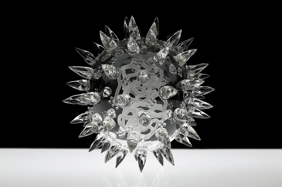 Glass Sculpture Of A Fictional Virus Photograph by Luke Jerram/science Photo Library