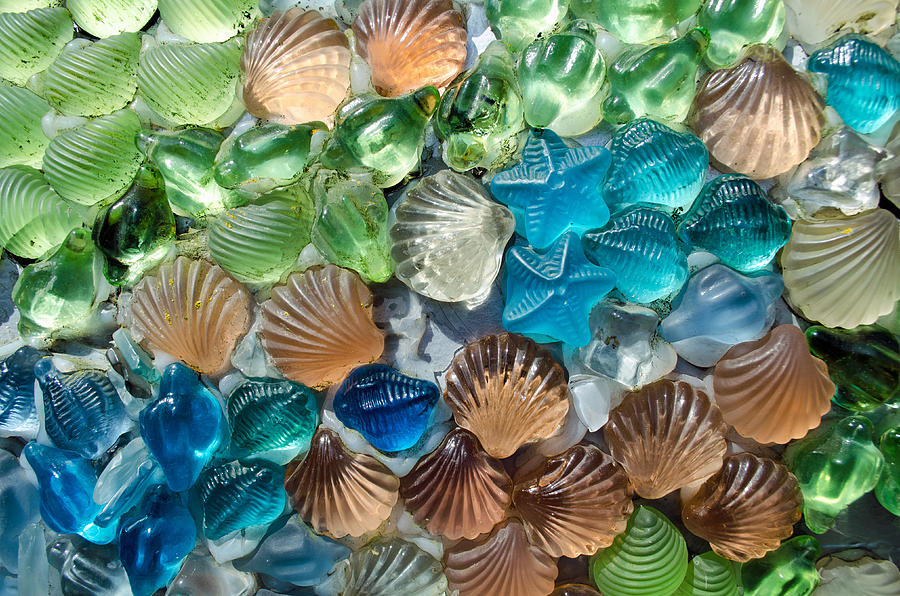 Glass Seashell Photograph by Tikvahs Hope