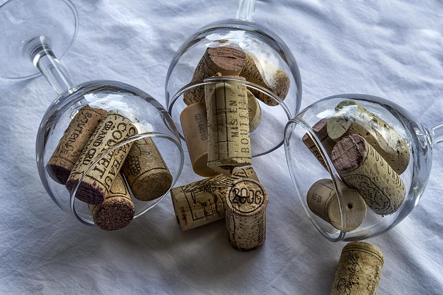 Glasses of Corks Photograph by Georgia Clare