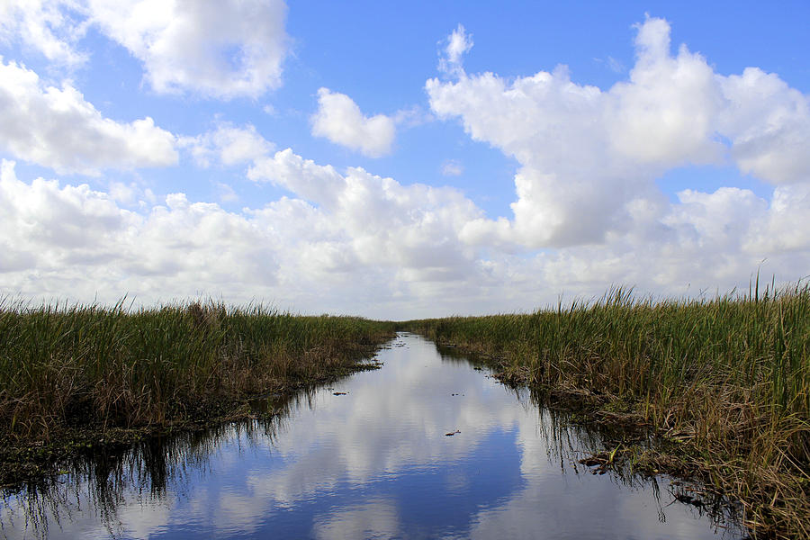 Everglades National Park Photograph - Glassy Everglades by Jill Blackwood