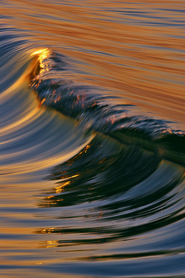 Glassy Wave C6J7895 Photograph by David Orias