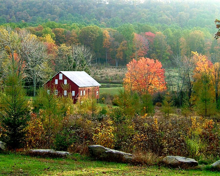 Glatfelter Tree Farm Photograph by L Granville Laird