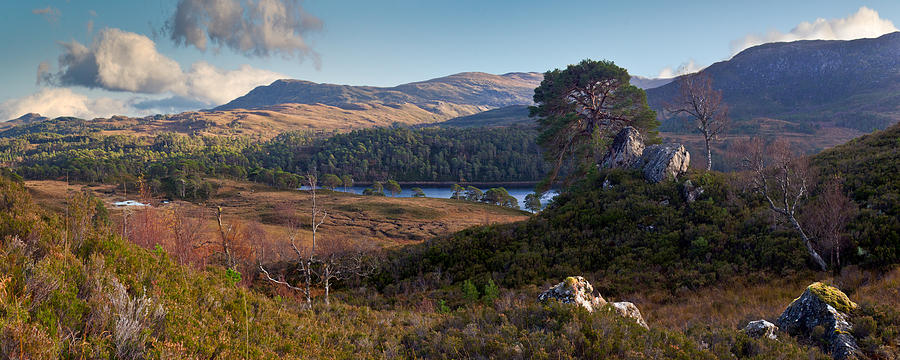 Glen Affric panorama II Photograph by Gary Eason