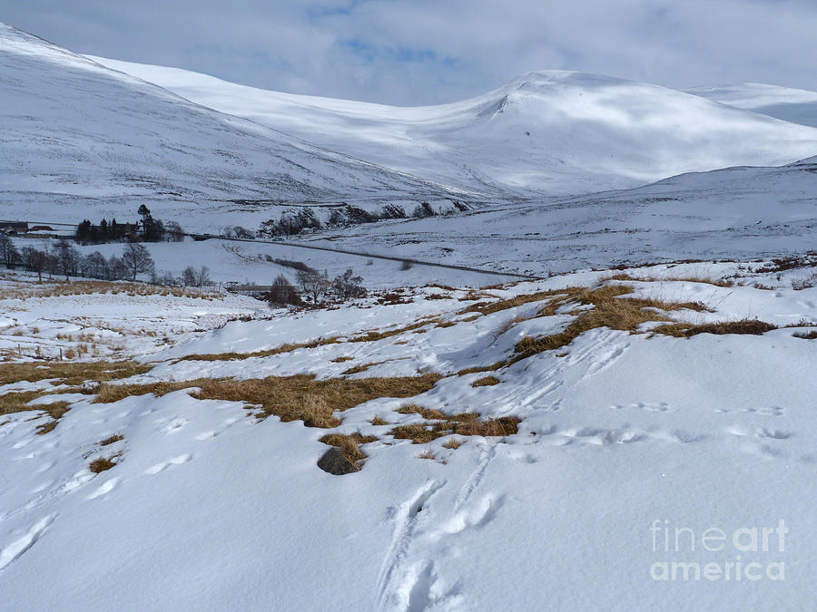 Glen Clunie  in Winter Photograph by Phil Banks