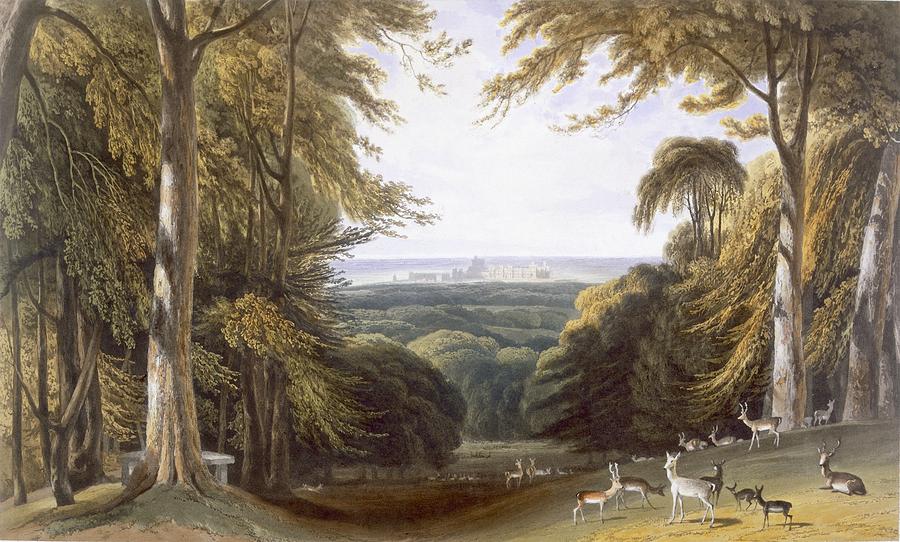 Glen In Windsor Park Near Bishops Gate Painting by William Daniell