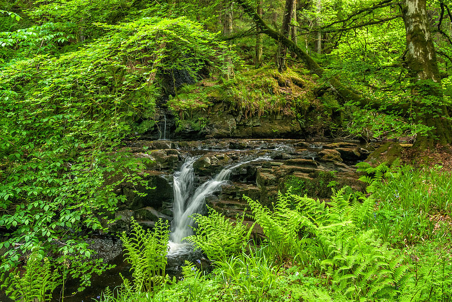 Glenariff Forest Waterfall, Northern Photograph by James Steinberg