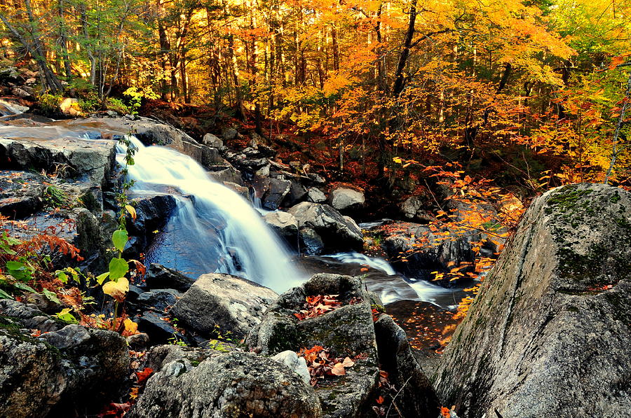 Glendale Falls Photograph by David Champigny - Fine Art America