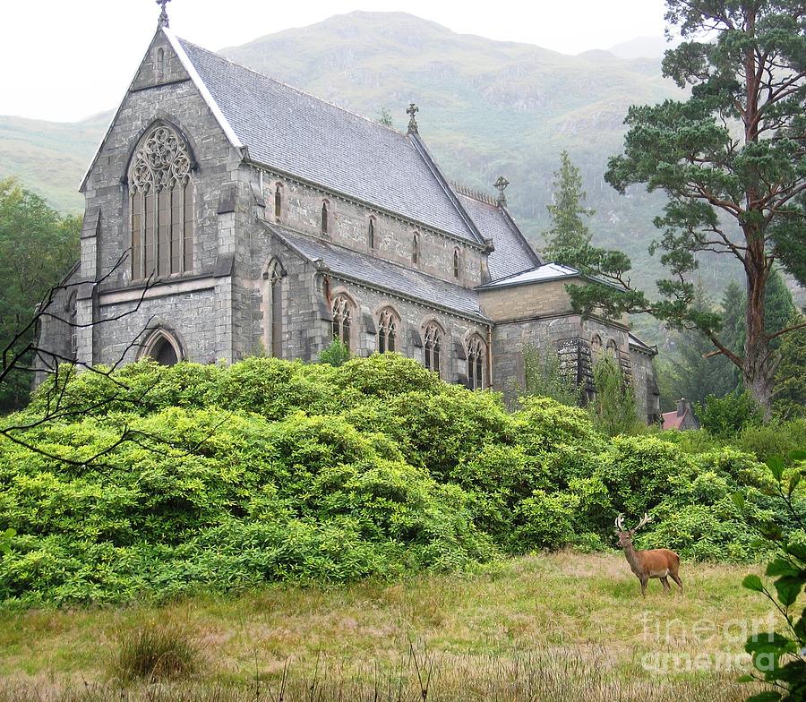 Glenfinnan Stag Photograph by Denise Railey