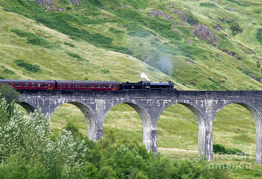 Glenfinnan Viaduct - Engine 62005 - Scotland Photograph by Phil Banks
