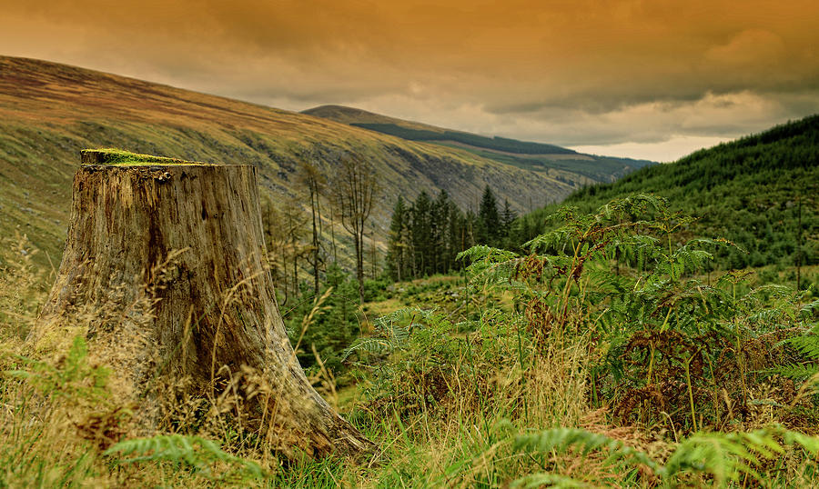 Glenmalure Landscape Photograph by Philip Devereux.