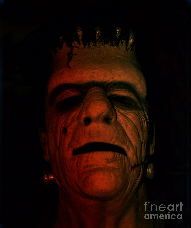 Glenn Strange as Frankenstein Mask Photograph by Jim Fitzpatrick
