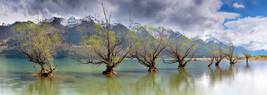 Glenorchy Old Trees As Storm Front Photograph by Kathryn Diehm