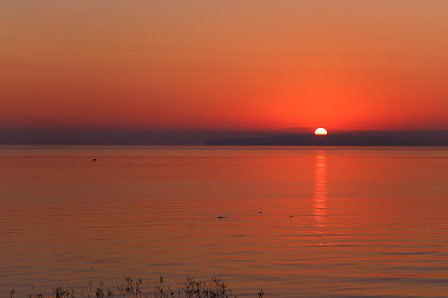 Glide into Sunrise Photograph by Rachel Cohen