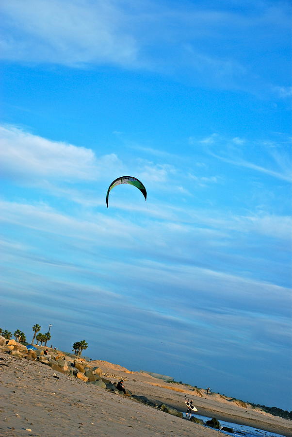 Gliding Photograph by Liz Vernand
