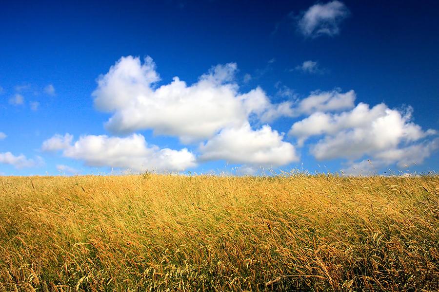 Glin Cloud Meadow Photograph by Mark Callanan