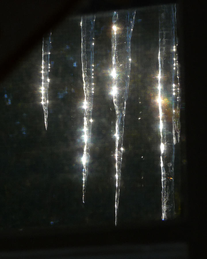 Glistening Icicles Photograph by Margie Avellino